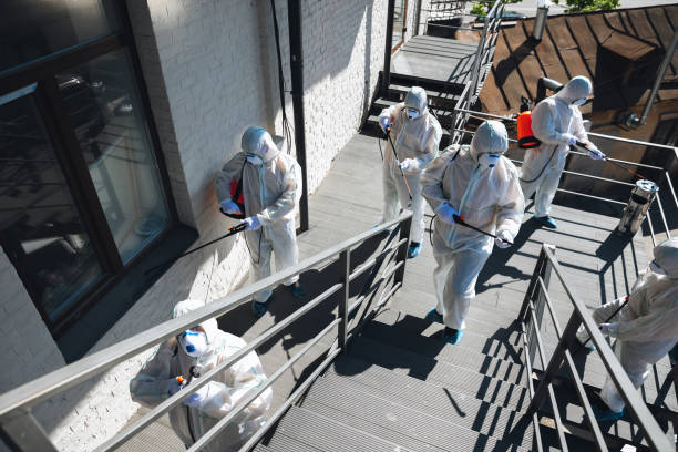 Best Real Estate Mold Inspection  in Huntington, UT