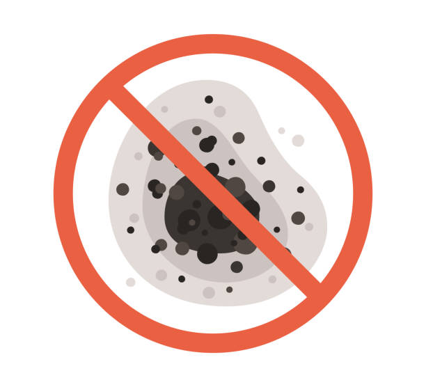 Best Mold Prevention Services  in Huntington, UT