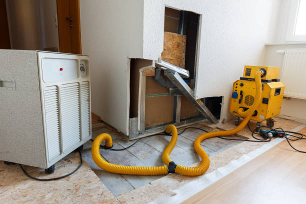 Best Asbestos and Lead Testing During Mold Inspection  in Huntington, UT