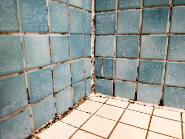 Best Airborne Mold Testing  in Huntington, UT